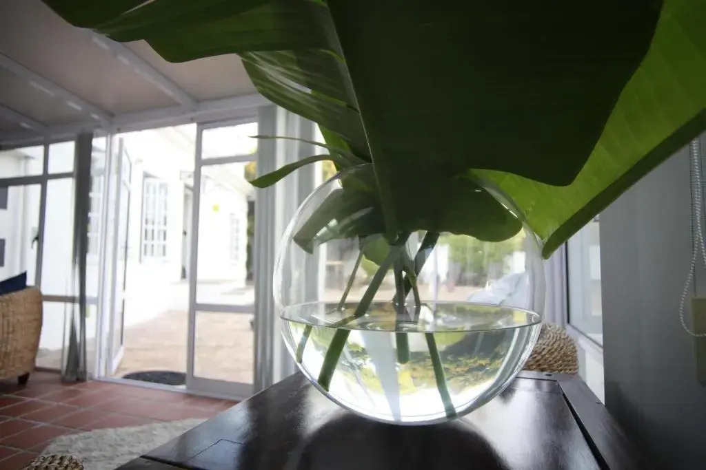 Cosimi Guest House