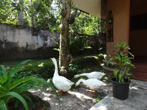 Pagoda Heritage Inn