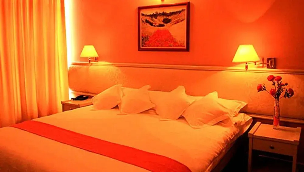 Hotel Viña del Sur