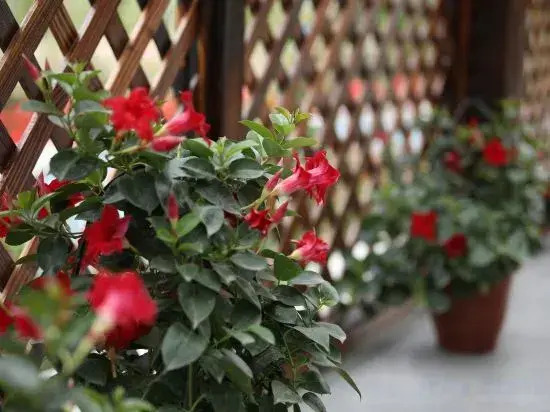 Shanghai Liyuan Jiashe Boutique Homestay