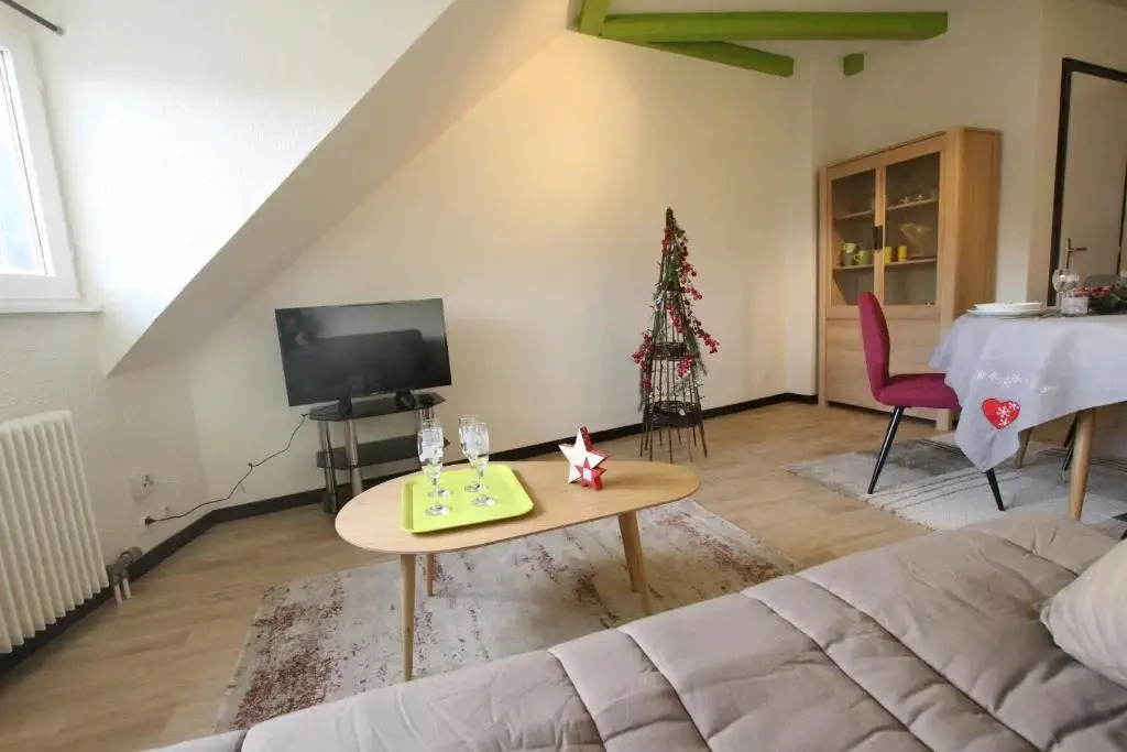 Colmar Historic Center - Cosy Appartement TURENNE 2 - BookingAlsace