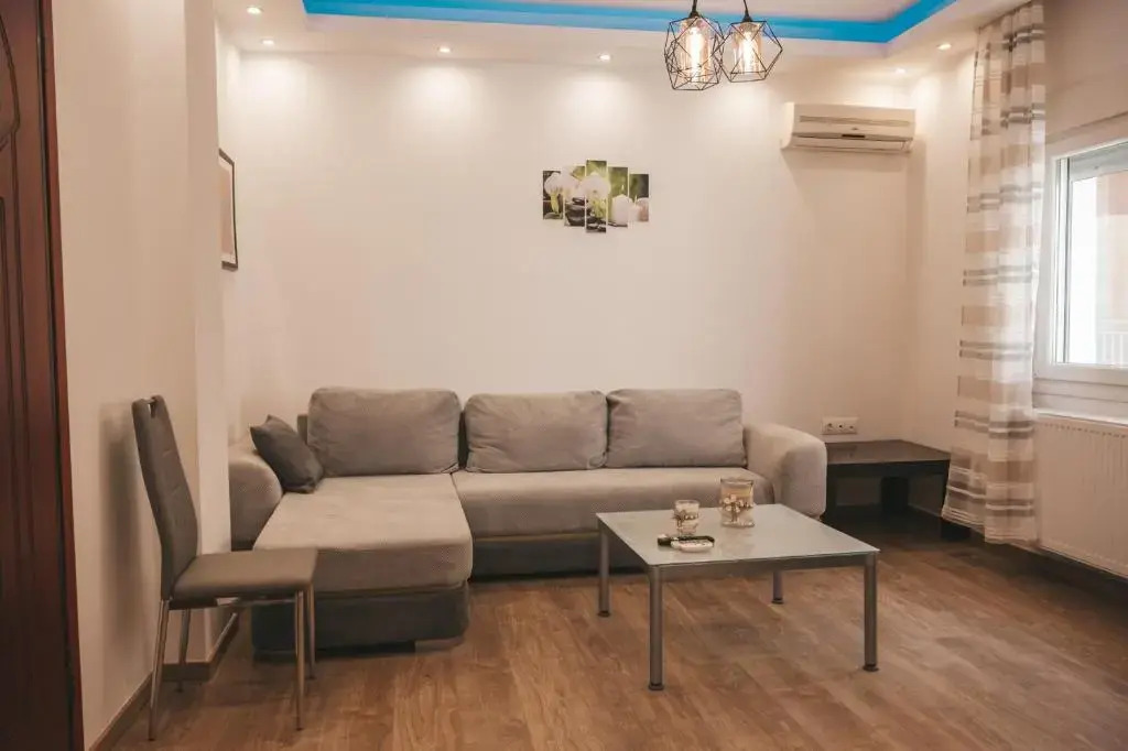 Comfortable apartment in the city center