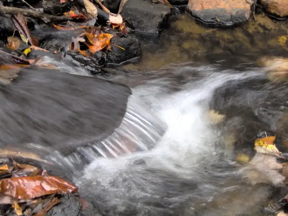 Twin Creeks