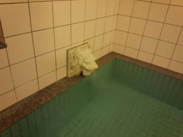 Yunoura Onsen Kameiso