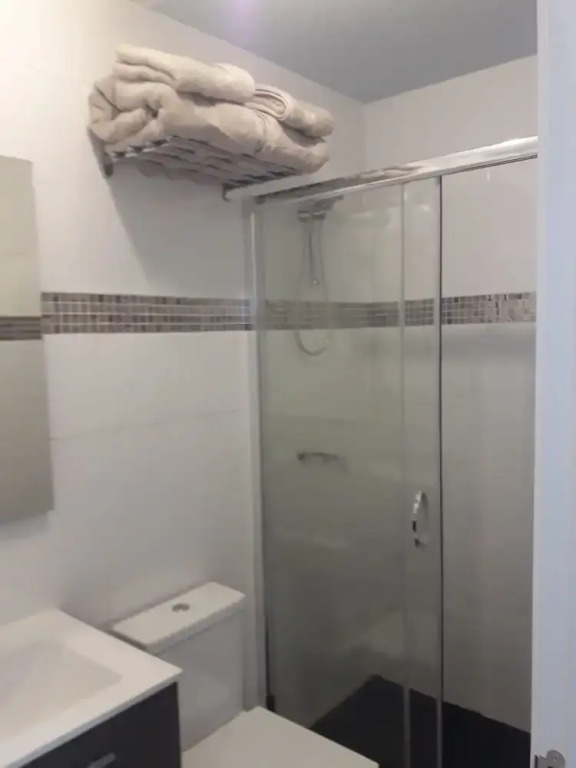 White Goose Apartment in Madrid