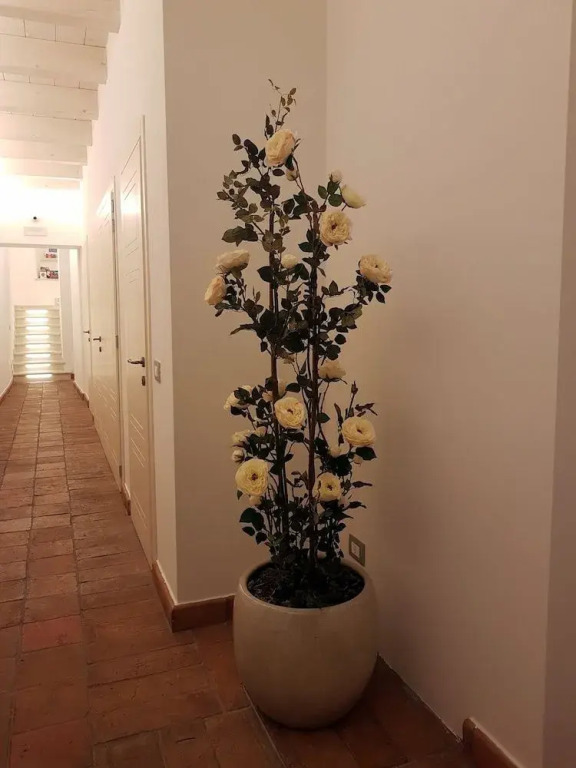 Accademia 21