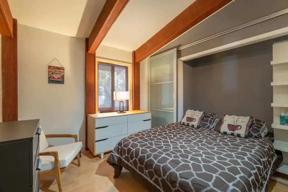 Truckee Contemporary Oasis