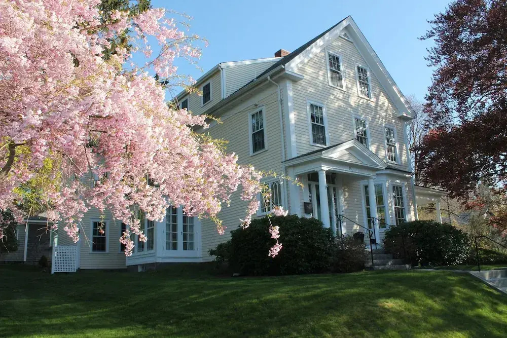 The Beech Tree B&B
