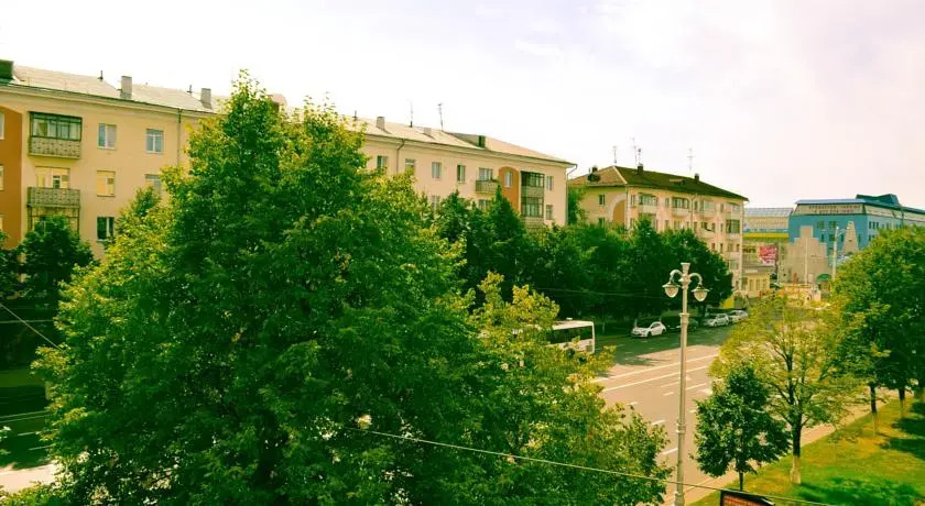 Apartment on Sovetskiy
