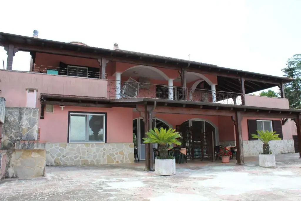 Piccolo Ulivo 2