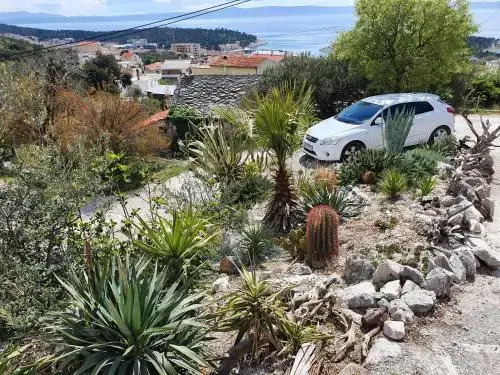 Apartment Dora