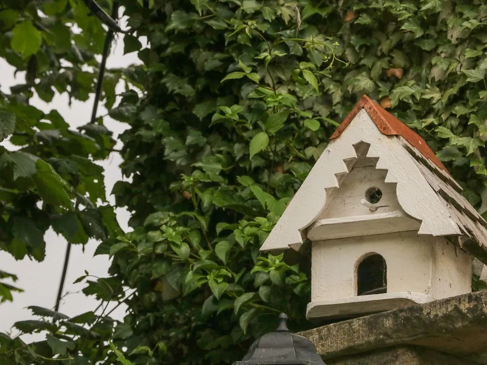 Grange Cottage