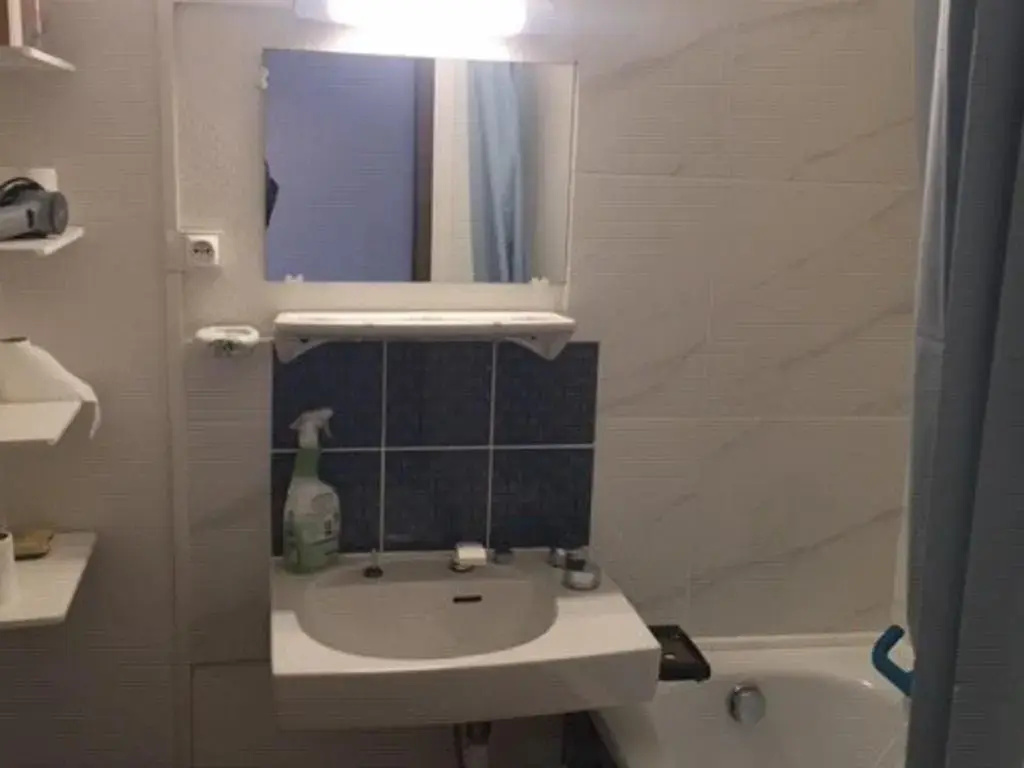 Studio Arette, 1 pièce, 4 personnes - FR-1-602-96