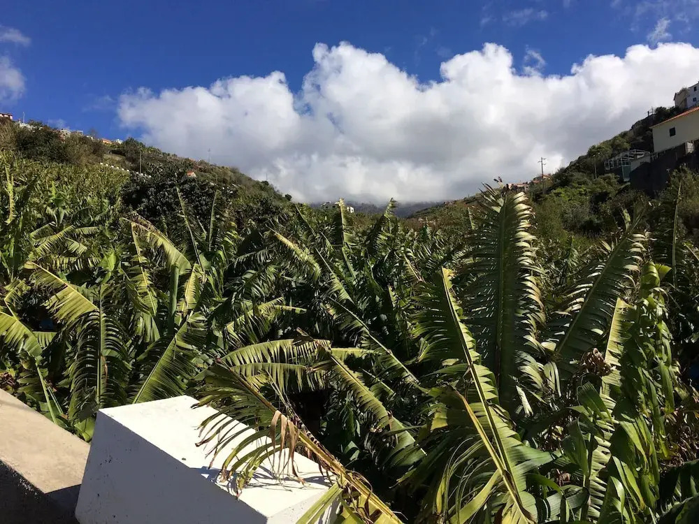 Vista Azul