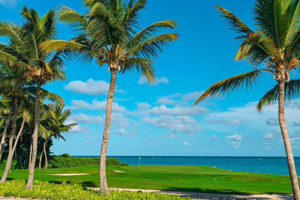 The Westin Puntacana Resort