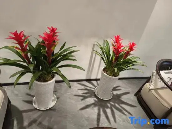 Elong Yam Hotel (Xi'an Jiaotongdaxue Yanxiang Road North Entrance Subway Station)