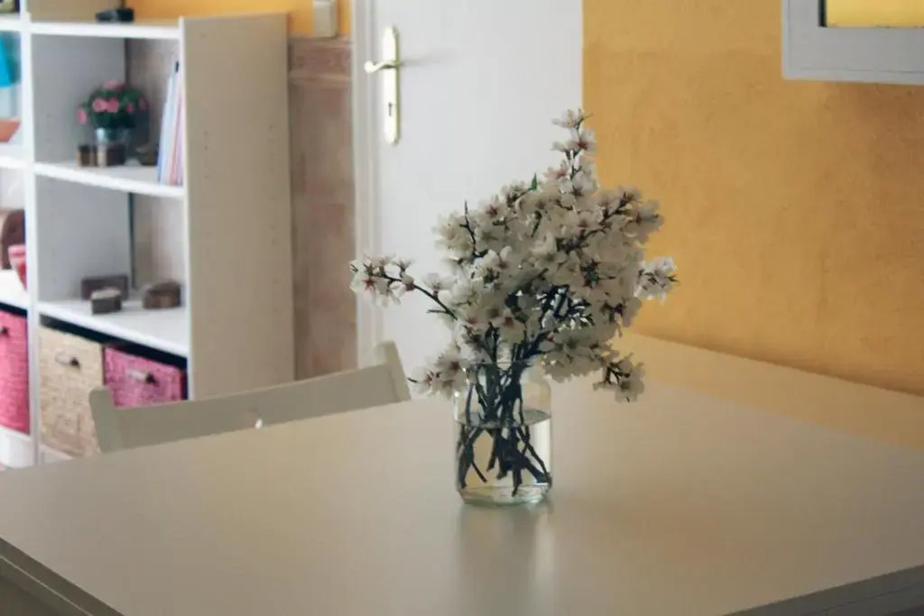 La Casita de la Abuela Paula