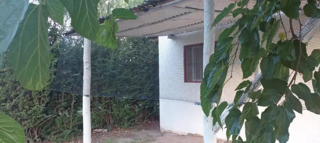 Delirios