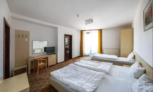 AselTur Brasov