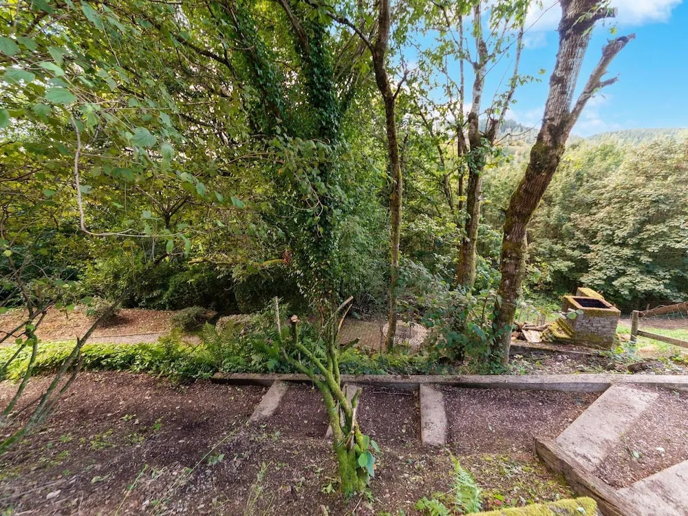 Forest-Edge Hideaway, Bouillon