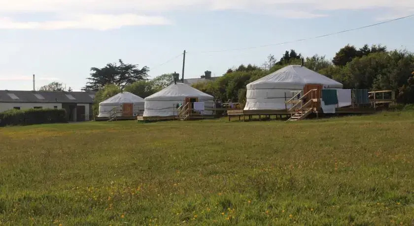 Koa Tree Camp