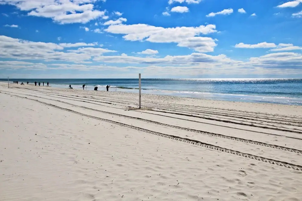 Surfside Shores By Hosteeva