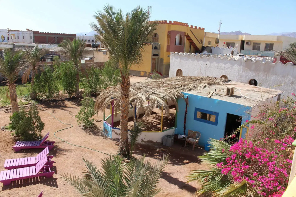 Dahab Divers