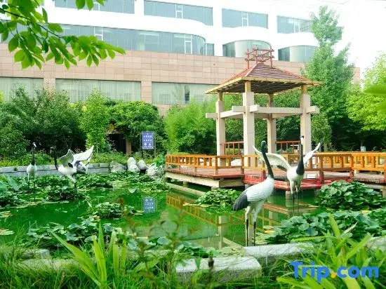 Guest House