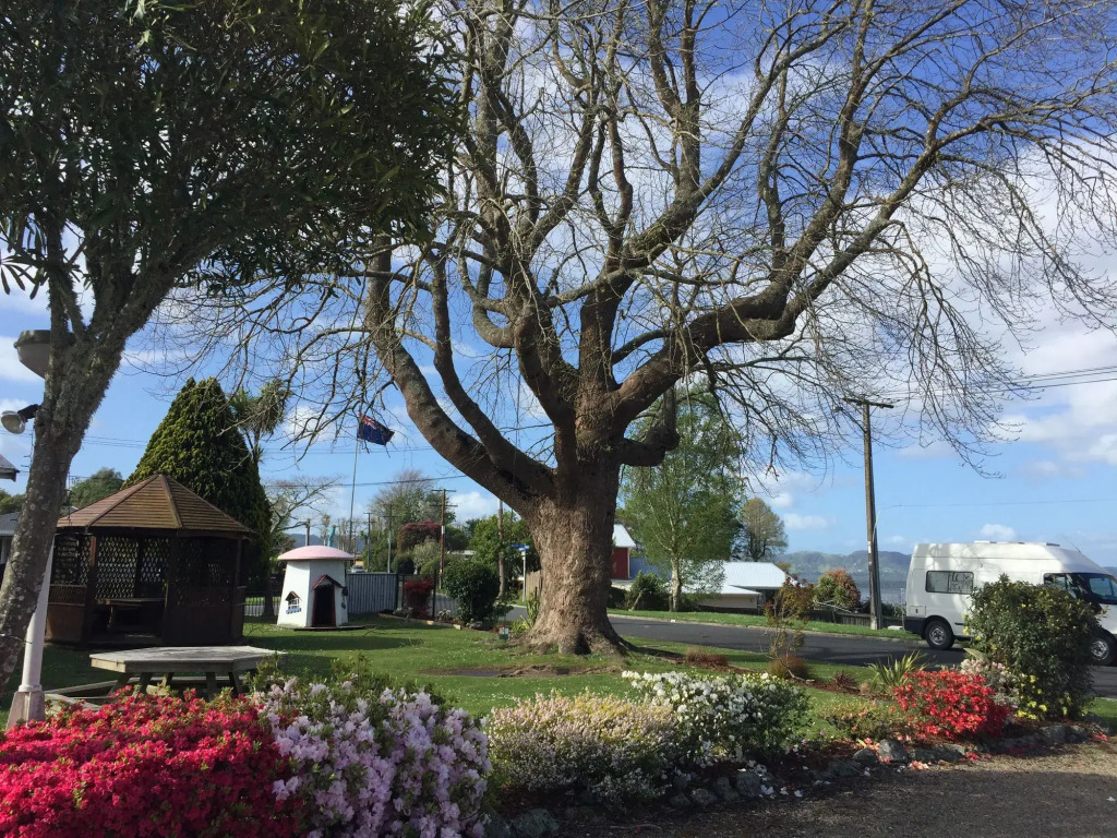 Jack & Dis Waiteti Lakefront Motel