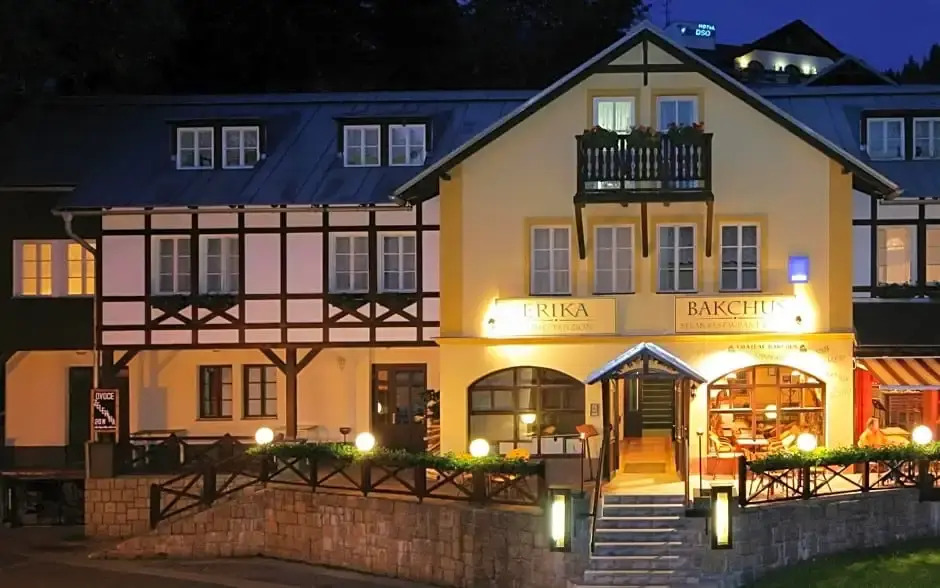 Hotel Erika