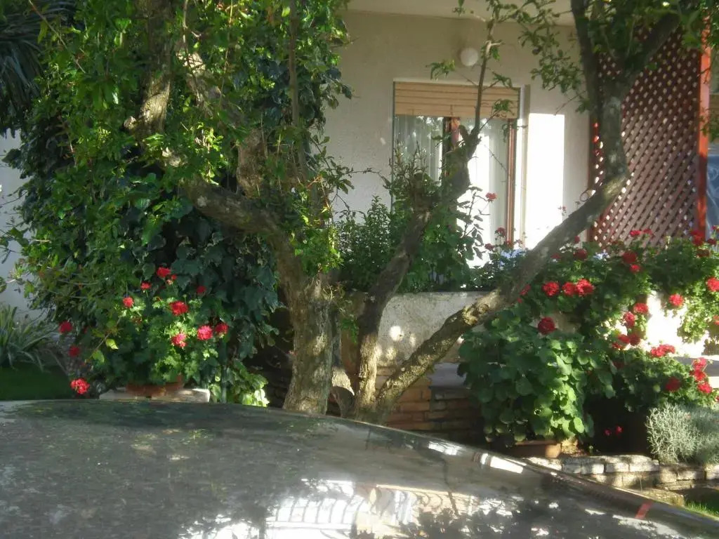 Apartment MS