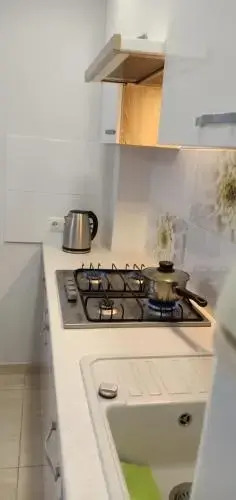 Kaunas Downtown Apartments