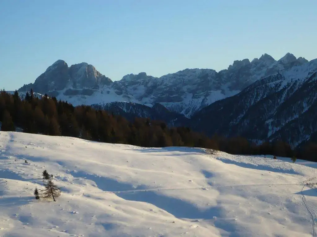 Hotel Alpenrose