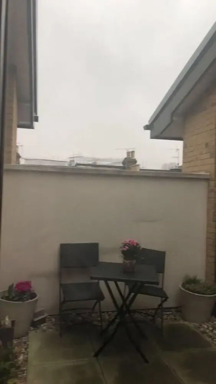 Zulu Mews
