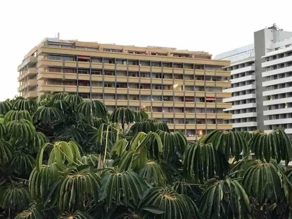 610 Suite con terraza Puerto de la Cruz Martianez