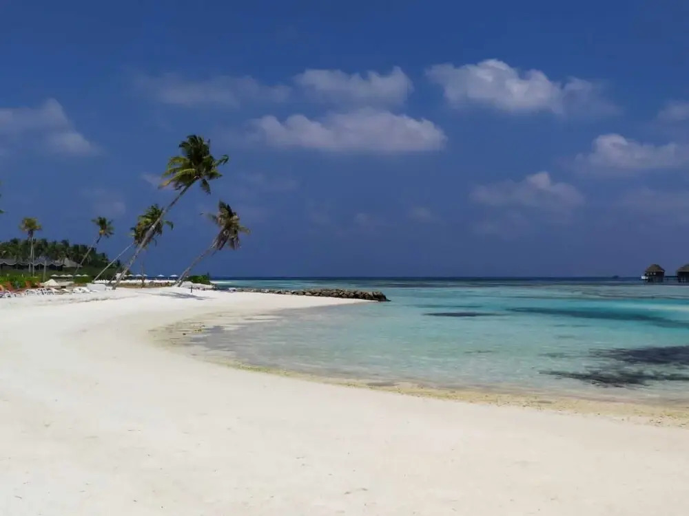 Courtyard Maldives