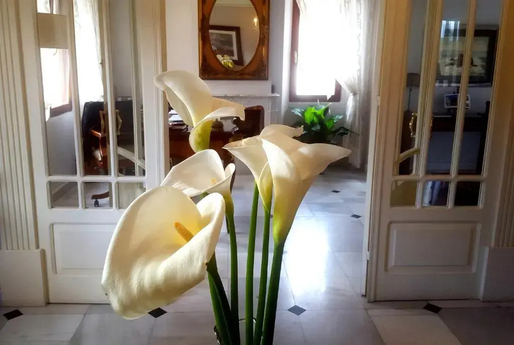Indiana Boutique Hotel