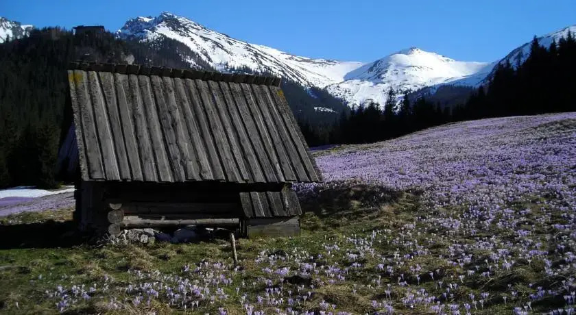 Hotel Górski Kalatówki