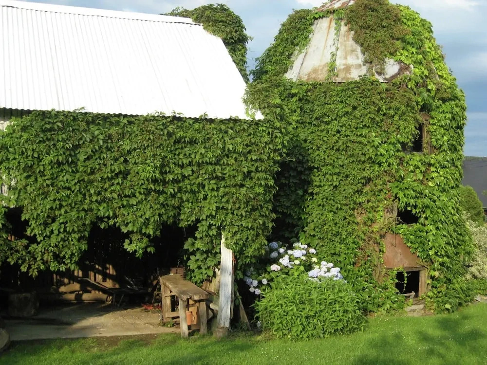 Mountain Retreat for Group