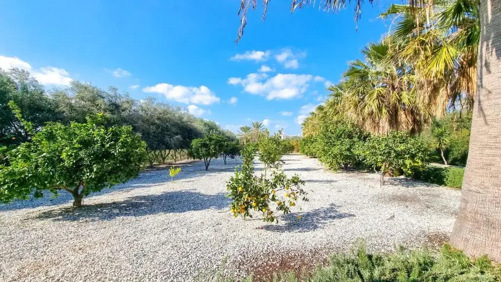 Leto 13 Villa
