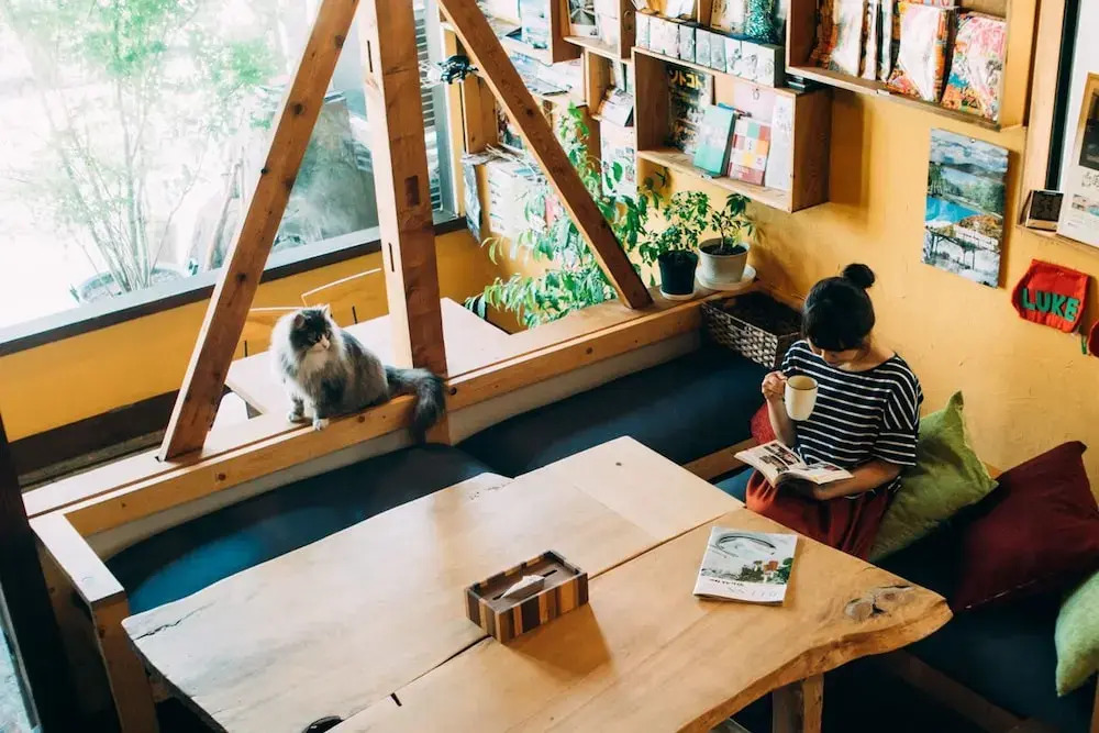 Hida Takayama Guest House Tau Hostel