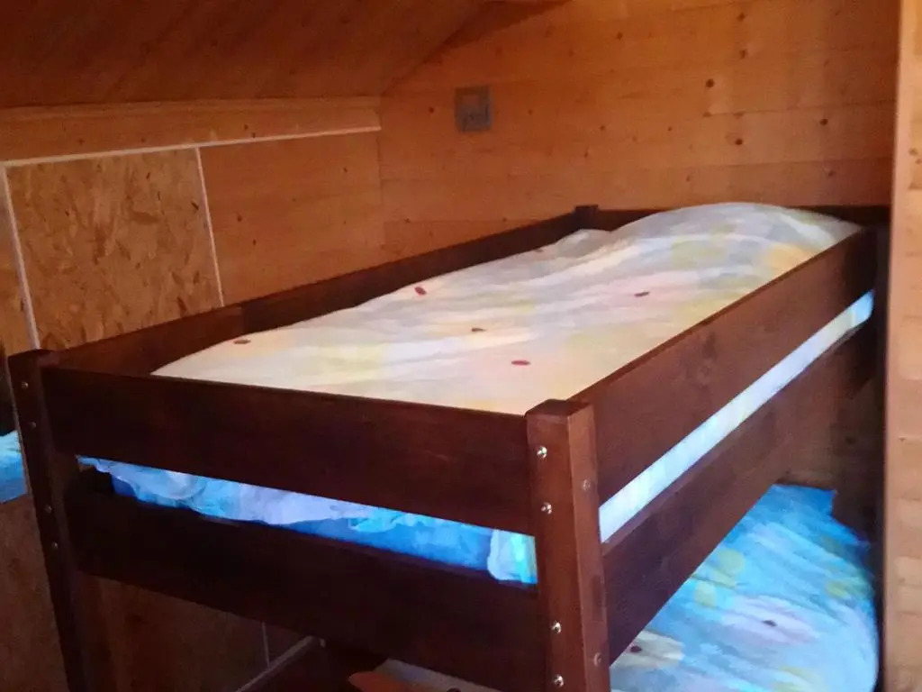Chalet spacieux près de Gérardmer avec terrasse, verger et activités montagne - FR-1-589-121