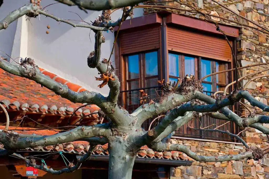 Valle Del Eria Hotel