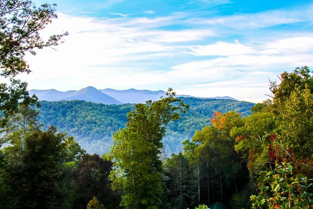 Mountain Shadow Resort