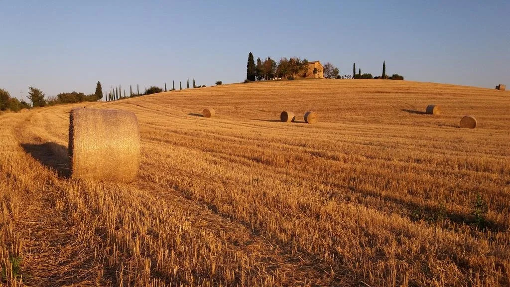 Casale Pienza