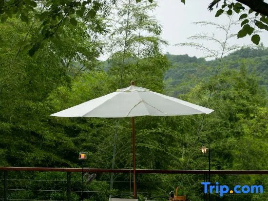 Qingcheng Mountain Just on the Stream · Mountain Stream Bamboo Forest Private Soup B&B