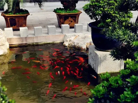 Tabao Garden