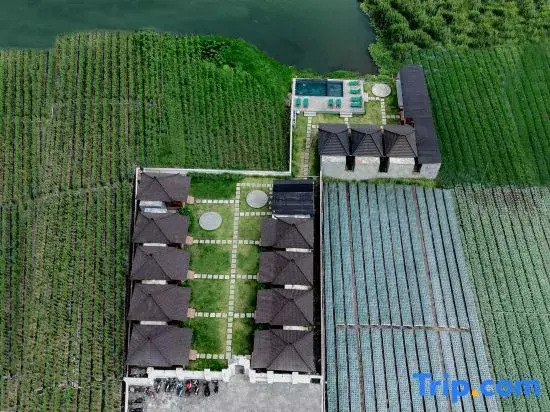 D Silas Tepi Danu Villas Kintamani & Natural hot spring
