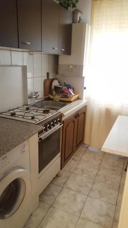 Apartment Valea Azugii