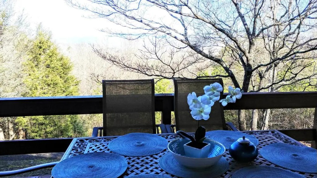 Mountain Views #578